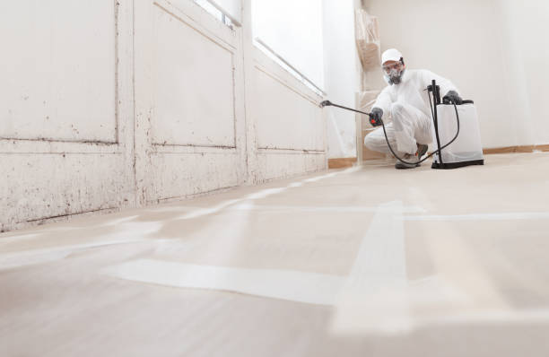 24/7 Emergency Commercial Mold Remediation experts in West Chicago, IL